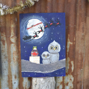 'Santa Owls'