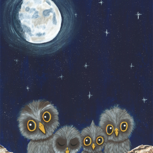 'Moon Owls' Notepad